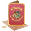 Papyrus Blank Wonder Woman Card for Her (True Wonder Woman)(Hogwarts Patch)