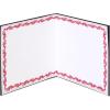 Papyrus Blank Wonder Woman Card for Her (True Wonder Woman)(Targaryen Sigil)
