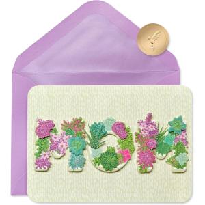 Papyrus Mothers Day Card For Mom (Love You So Much)(FSC MOM Succulent Planters)