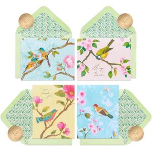 Papyrus Thank You Cards with Envelopes, Rainbow (12-Count)(FSC KPSK BL BLOSSM BRANCH BIRD)