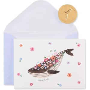 Papyrus Thank You Cards with Envelopes, Rainbow (12-Count)(Whale Thanks)