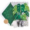 3D Monstera Plant