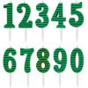 Green Stripes- Candles Pack