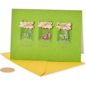 Papyrus Birthday Card for Her – Designed by Bella Pilar (Amazing Birthday Girl)(Jars With Flowers)