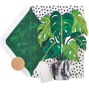 Papyrus Blank Pop Up Card (Plant)(3D Monstera Plant)