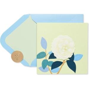 Papyrus Blank Pop-Up Card for Birthdays, Thinking of You and All Occasions (Tropical)(White Rose)