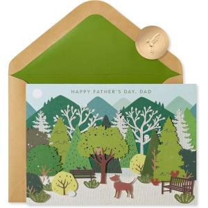 Papyrus Father’s Day Pop Up Card for Dad (Amazing Adventure)(Multicolor)