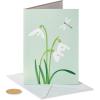 White Crocus