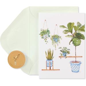 Papyrus 14-Count Blank Cards with Envelopes (Beach)(Green)