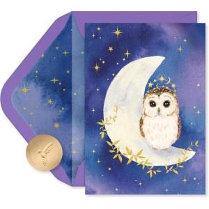 Papyrus 14-Count Blank Cards with Envelopes (Celestial Owl)(FSC UBN BL CELESTIAL OWL)