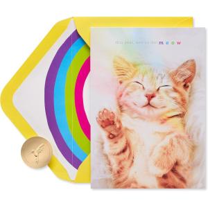 Papyrus Birthday Cards, Cat and Cake (2-Count)(Happy Birthday)