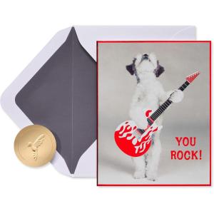 Papyrus Blank Birthday Cards, Birthday Celebrations (20-Count)(Dog with Guitar)