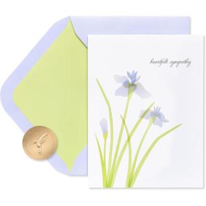Papyrus Blank Sympathy Card (Wishing You Healing)(Our Deepest Sympathy and Our Love)