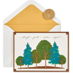 Papyrus Fathers Day Card for Dad (Your Love and Guidance)(Made Every Difference In My Life)