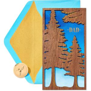 Papyrus Fathers Day Card for Dad (Your Love and Guidance)(Your Love and Guidance)