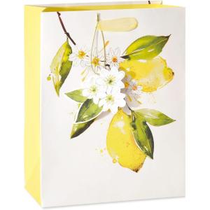 Papyrus Gift Bags with Tissue Paper (Citrus) for Birthdays, Weddings, Bridal Showers, Baby Showers and All Occasions (2 Bags, 1 Large 13″, 1 Medium 9″, 8-Sheets)(Citrus- Medium Gift bag)