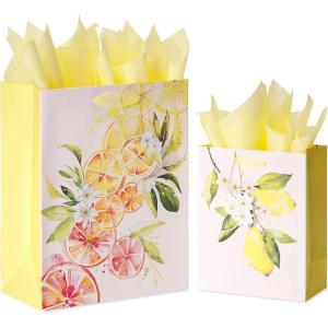 Papyrus Gift Bags with Tissue Paper (Citrus) for Birthdays, Weddings, Bridal Showers, Baby Showers and All Occasions (2 Bags, 1 Large 13″, 1 Medium 9″, 8-Sheets)(Citrus with Tissue Papr)