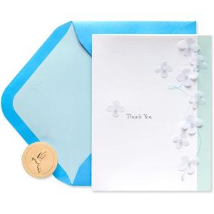Papyrus Thank You Card (So Much)(So Much)