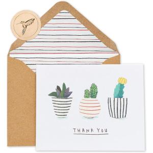 Papyrus Thank You Cards with Envelopes, Kraft with Flower (14-Count)(Succulents)