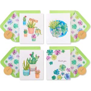 Papyrus Thank You Cards with Envelopes, Succulent (20-Count)(Succulent)
