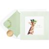 FSC Giraffe