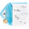 FSC Watercolor Sharks
