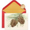 Wonderful Year to Come  Pinecones