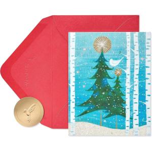Papyrus Holiday Cards Boxed with Envelopes, Warmest Wishes of the Season, Happy Holidays (20-Count)(Peace and Happiness  Snowbird)