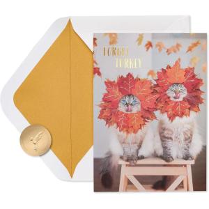 Papyrus Thanksgiving Card (Football Turkey, Grateful for Turkey and Touchdowns)(Couple of Hams)