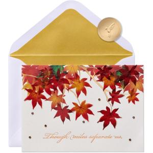 Papyrus Thanksgiving Card (Wishing You Every Happiness)(FALL FOLIAGE)