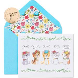 Papyrus Blank Cards with Envelopes, Hexagon Pattern (14-Count)(Kittens)