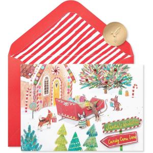 Papyrus Holiday Card with Dogs, Perfect for Animal Lovers (Truly Pawsome)(Furry Christmas to You!)