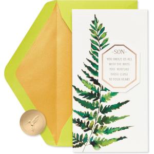 Papyrus Fathers Day Card for Son (Exceptional Dad And Son)